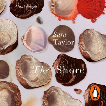 The Shore - Sara Taylor