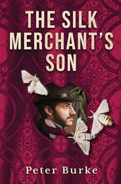 The Silk Merchant s Son