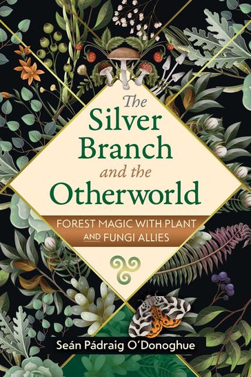 The Silver Branch and the Otherworld - Seán Pádraig O