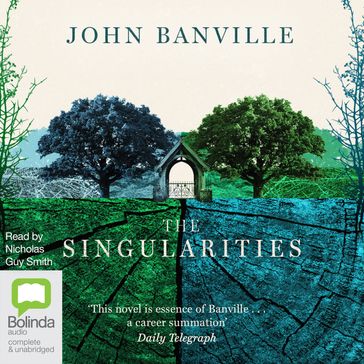 The Singularities - John Banville