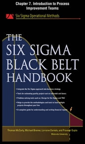 The Six Sigma Black Belt Handbook, Chapter 7 - Introduction to Process Improvement Teams