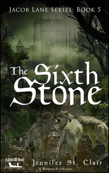 The Sixth Stone - Jennifer St. Clair