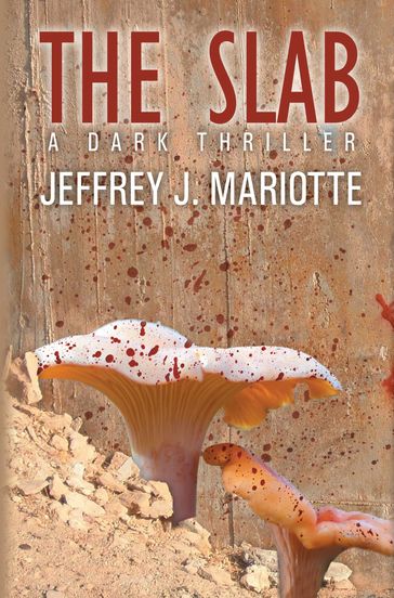 The Slab - Jeffrey J. Mariotte