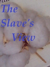 The Slave s View