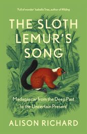 The Sloth Lemur