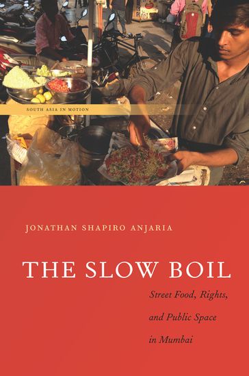 The Slow Boil - Jonathan Shapiro Anjaria