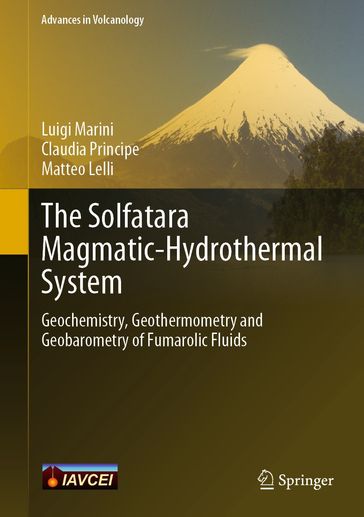 The Solfatara Magmatic-Hydrothermal System - Luigi Marini - Claudia Principe - Matteo Lelli