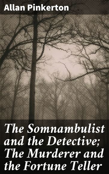 The Somnambulist and the Detective; The Murderer and the Fortune Teller - Allan Pinkerton