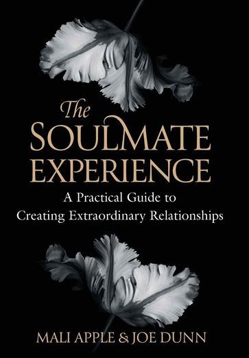 The Soulmate Experience - Mali Apple - Joe Dunn