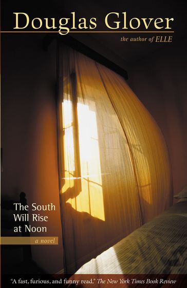 The South Will Rise at Noon - Douglas Glover