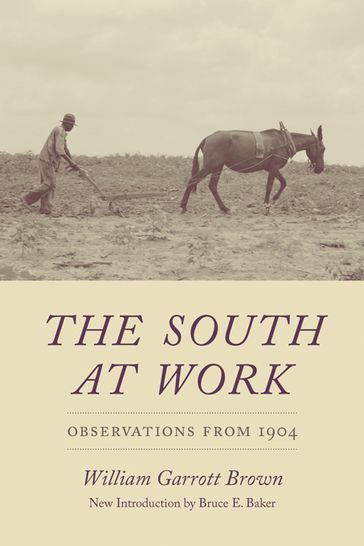 The South at Work - William Garrott Brown