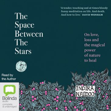 The Space Between the Stars - Indira Naidoo