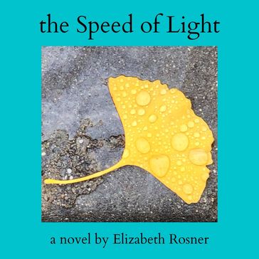 The Speed of Light - Elizabeth Rosner