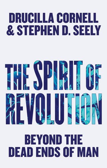 The Spirit of Revolution - Drucilla Cornell - Stephen D. Seely