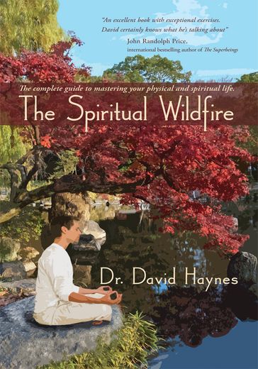 The Spiritual Wildfire - David Haynes