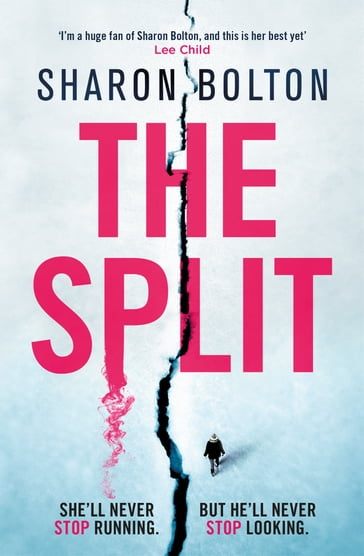 The Split - Sharon Bolton