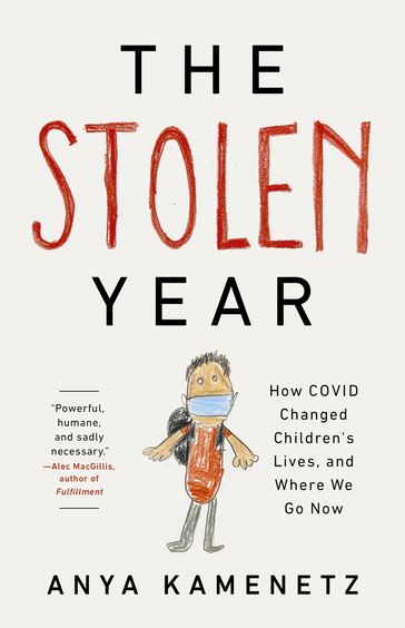 The Stolen Year - Anya Kamenetz