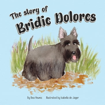 The Story of Bridie Dolores - Bea Heunis