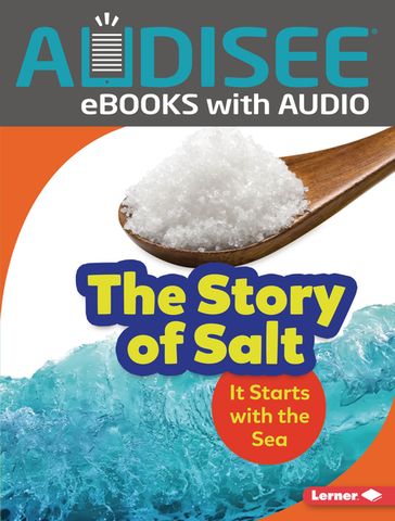 The Story of Salt - Lisa Owings