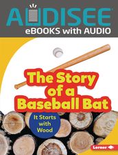 The Story of a Baseball Bat