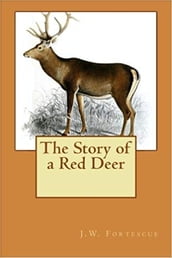 The Story of a Red Deer