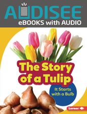 The Story of a Tulip