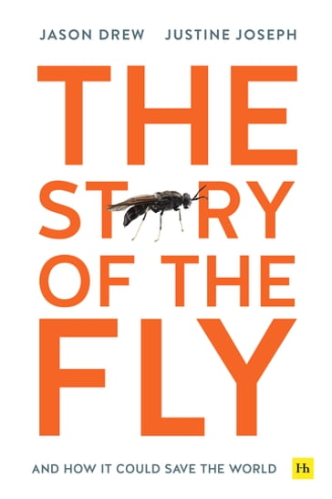 The Story of the Fly - Jason Drew