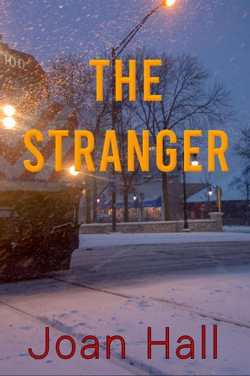 The Stranger - Joan Hall