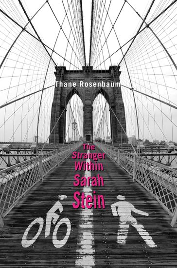 The Stranger Within Sarah Stein - Thane Rosenbaum