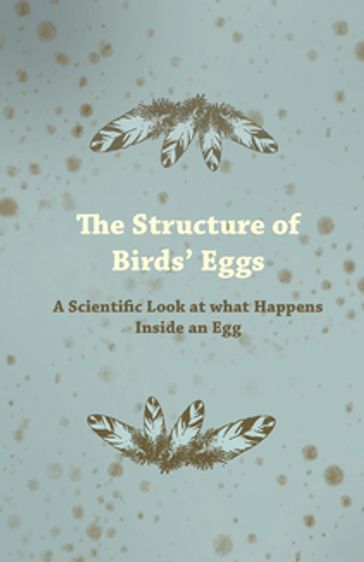 The Structure of Birds' Eggs - A Scientific Look at what Happens Inside an Egg - ANON