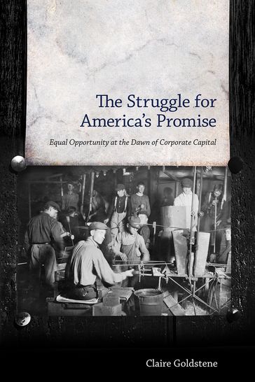 The Struggle for America's Promise - Claire Goldstene
