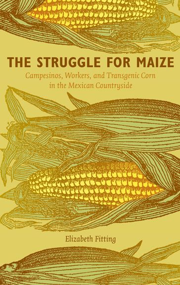 The Struggle for Maize - Elizabeth Fitting