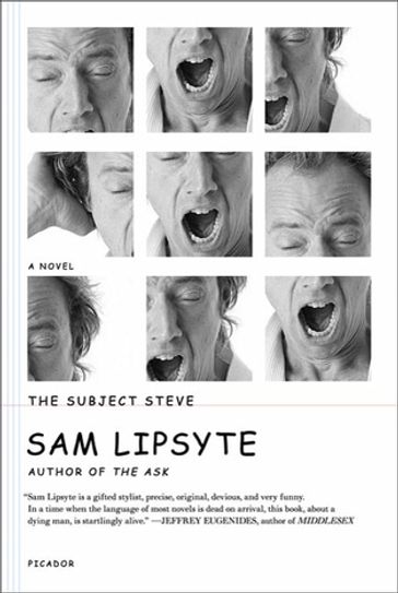 The Subject Steve - Sam Lipsyte