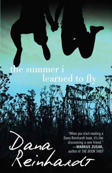 The Summer I Learned to Fly - Dana Reinhardt