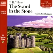 The Sword In The Stone