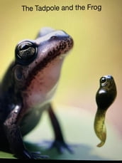 The Tadpole and the Frog