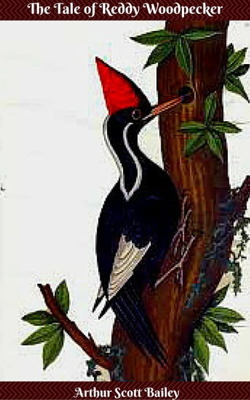 The Tale of Reddy Woodpecker - Arthur Scott Bailey