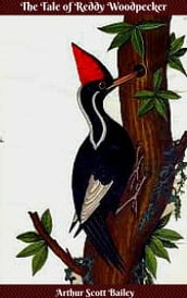 The Tale of Reddy Woodpecker