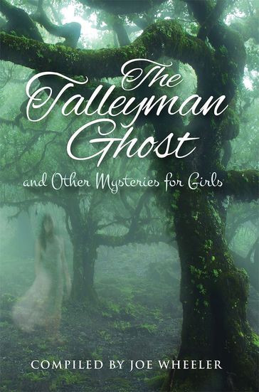 The Talleyman Ghost and Other Mysteries for Girls - Joe Wheeler