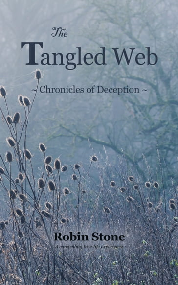 The Tangled Web - Robin Stone