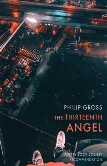 The Thirteenth Angel - Philip Gross
