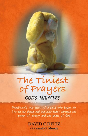 The Tiniest of Prayers - David C Deitz - Sarah G. Moody