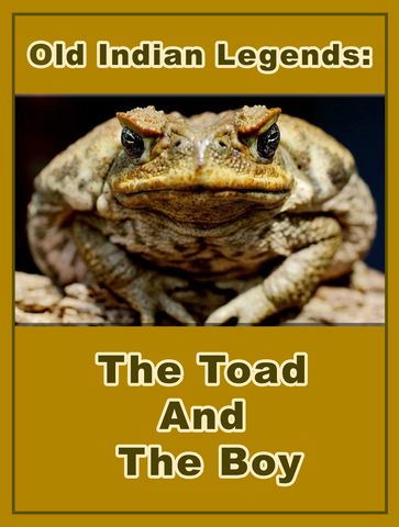 The Toad And The Boy - Old Indian Legends