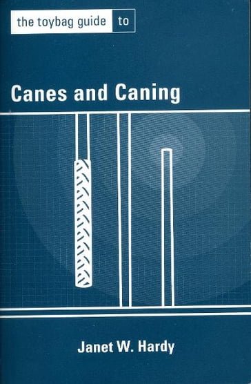 The Toybag Guide to Canes and Caning - Janet W. Hardy