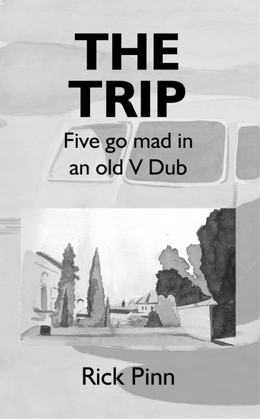 The Trip Five Go Mad in an Old V Dub - Rick Pinn