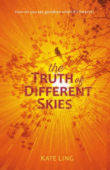 The Truth of Different Skies - Kate Ling