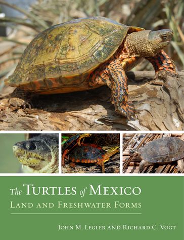 The Turtles of Mexico - John Legler - Richard C. Vogt