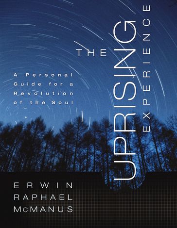 The Uprising Experience - Erwin Raphael McManus