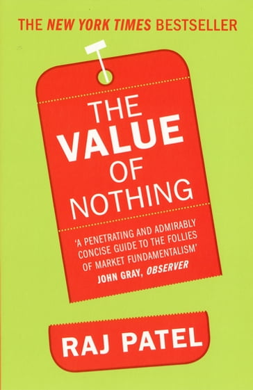 The Value Of Nothing - Raj Patel