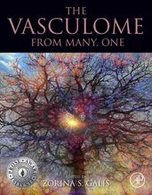 The Vasculome